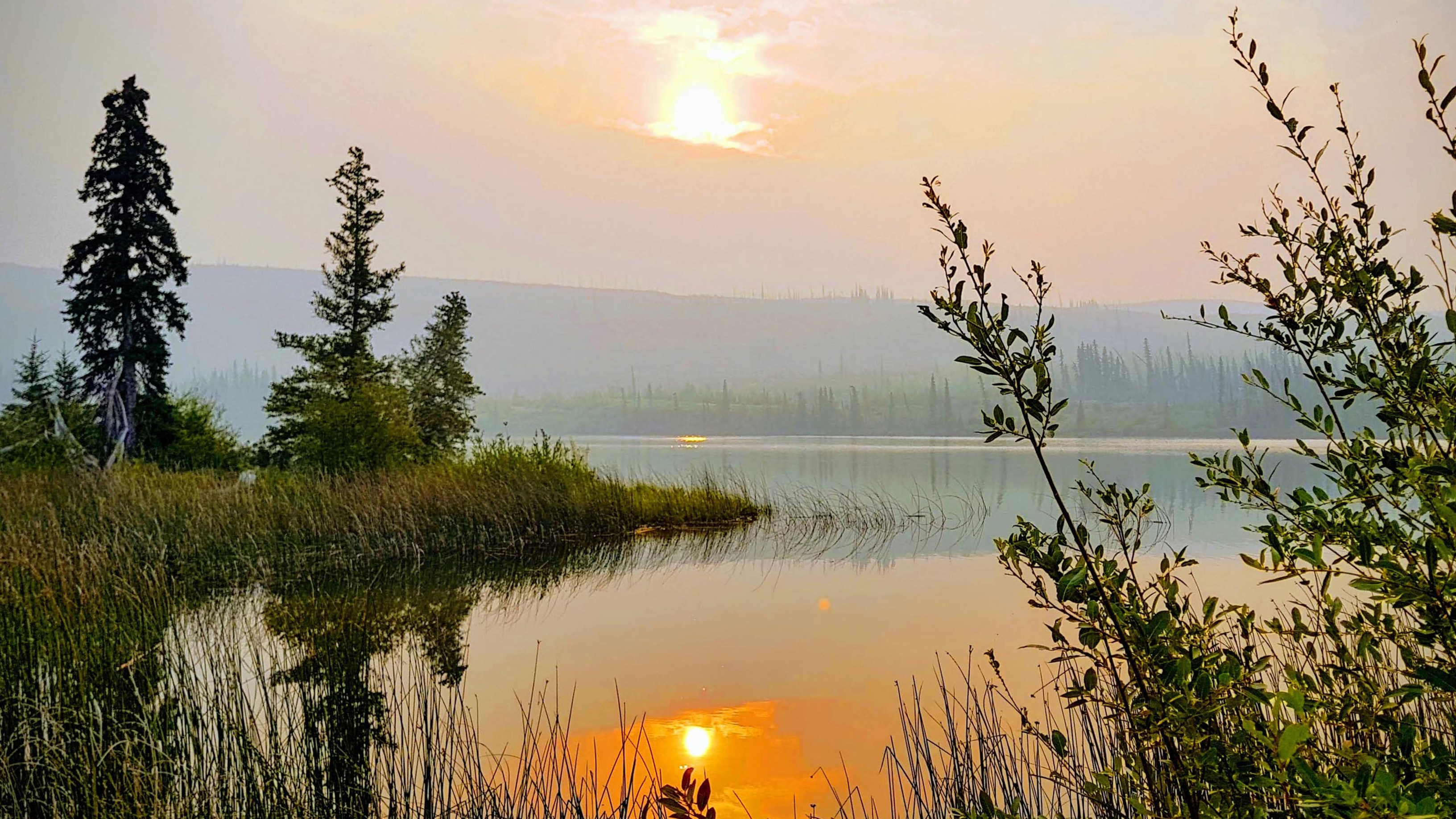 Herzlich willkommen auf meiner Homepage!